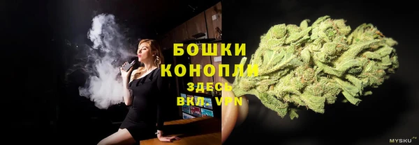 сатива Алзамай