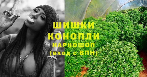 сатива Алзамай