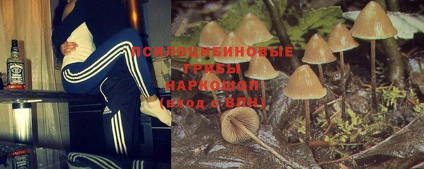 сатива Алзамай
