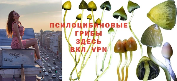 не бодяженный Покачи