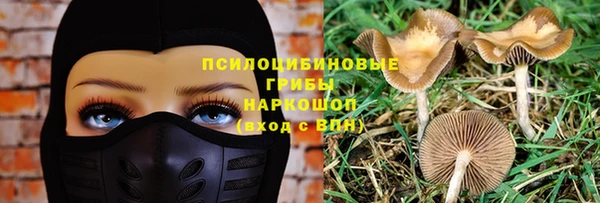 молекула духа Алексин